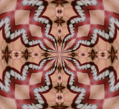 kaleidoscope
              pattern